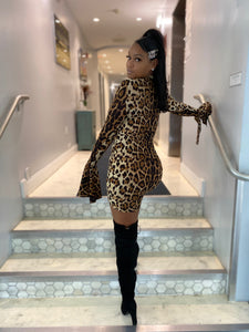 Wild Thang Leopard Print Dress